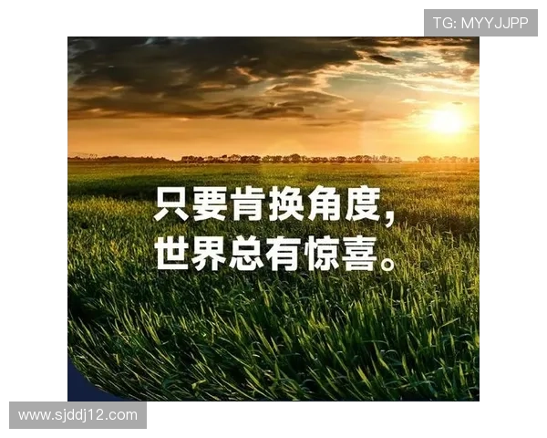 博雅国际平台：探索全球文化与教育的桥梁